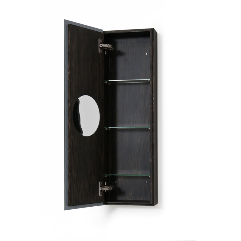 Zone 10'' W Mirrored Medicine Cabinet, Dark Oak