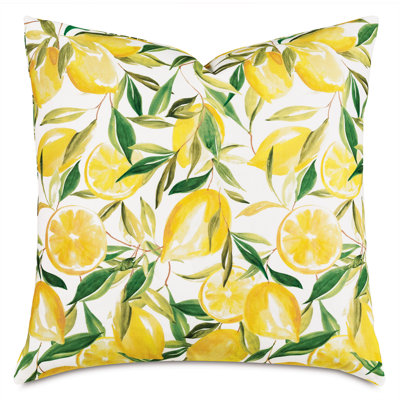 Meyer Square Pillow Cover & Insert