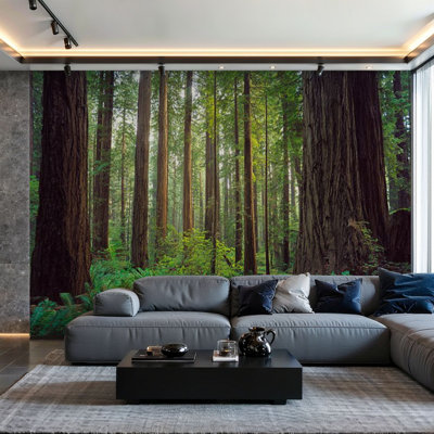 Peel and Stick Wallpaper Wall Mural Redwood forest Wall Art Self Adhesive and Removable