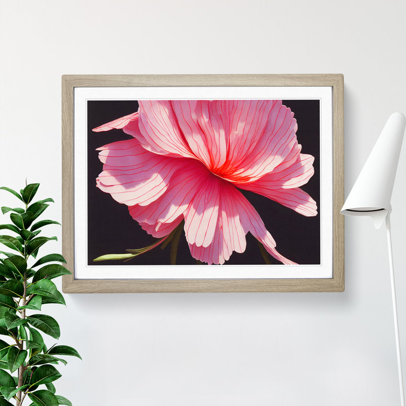 Splendorous Carnation Flower - Framed Print, 46cm H x 64cm W x 2cm D, Oak