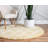 Walsenburg Oriental Indoor Rug