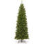 Épinette effilée North Valley Spruce-842866552