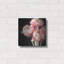 Art mural luxueux en métal «Coral Pivoines 6» par Debra Van Swearingen, 12 po x 12 po-556055288