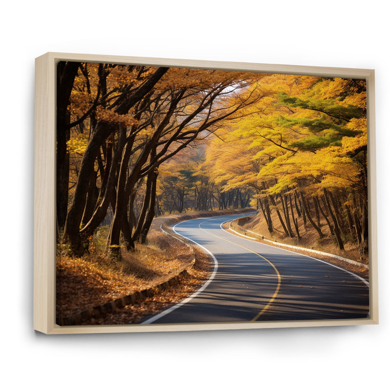 «Golden Road Into The Autumn Forest V» - art mural route, Cadre flottant brun, H 34 po x l 44 po x P 1,5 po