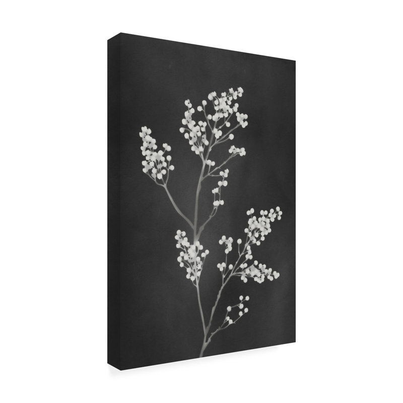 Art sur toile, noire Amini54, fleurs noires, H 12 po x l 19 po