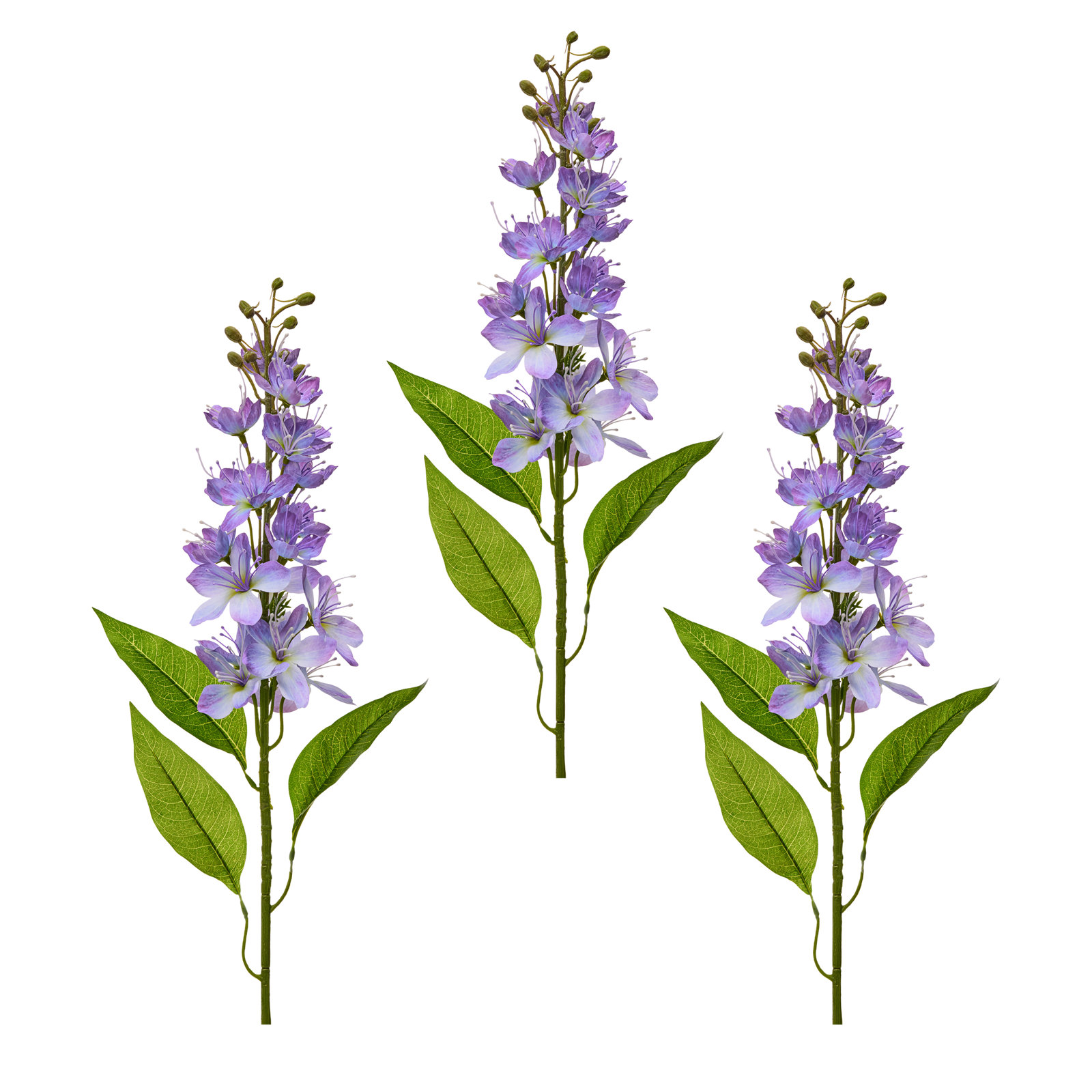 Honey Blossom Stems, Purple