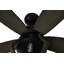 Ventilateur de plafond standard à 5 pales avec ensemble d'éclairage Winton