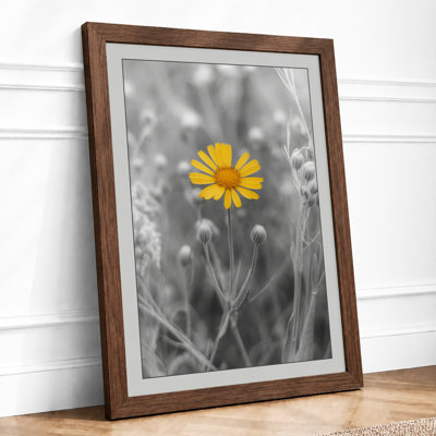Solitary Yellow Bloom Modern - Framed Print