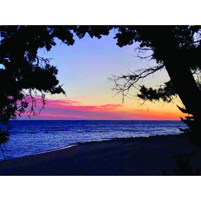 " Sea Silhouette " by Michelle Deegan