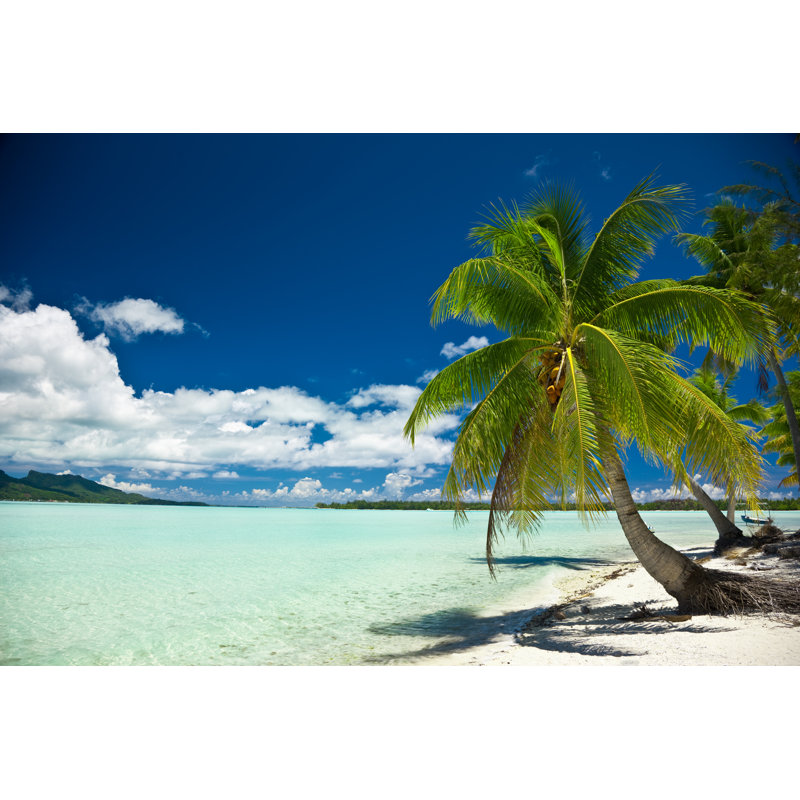 Palm Beach Bora-Bora by Mlenny - Wrapped Canvas Print, 51cm H x 76cm W x 3.8cm D