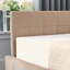 Structure de lit capitonnée avec rangement, canapé-lit avec dossier confortable et accoudoirs, lit double pour chambre à coucher, salon, velours-1366212898
