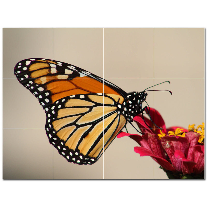 Murale décorative en céramique 8 po x 8 po Butterfly Photo