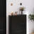 Black Solid wood Shoe Storage