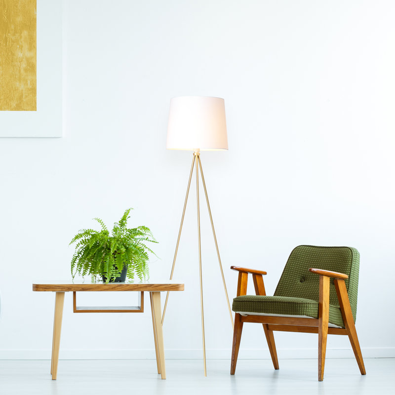 Dunneback 58'' Tripod Floor Lamp, Brushed Gold
