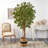 72'' Faux Maple Tree in Burlap, Cotton Planter
