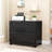 Maniram 35.43'' Wide 2 -Drawer Farmhouse Lateral File Cabinet, Wood Filing Cabinet for Home Office, Large File Storage Printer Stand for A4/Letter Size Files, with Anti-tilt Mechanism-77374085