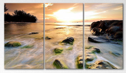 3 Piece Wrapped Canvas Print