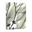 Eucalyptus Safari - Wrapped Canvas Print-1252129315
