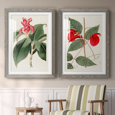 «Flora Of The Tropics I», reproduction encadrée de qualité supérieure - prête à être accrochée