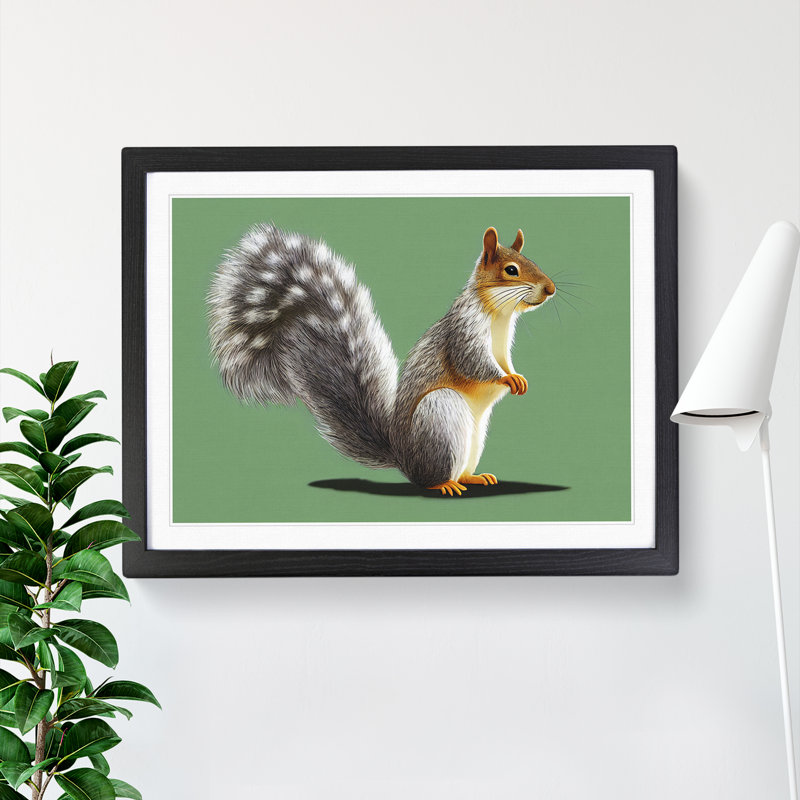 Beauteous Squirrel - Single Picture Frame Print, Black Framed, 34cm H x 46cm W x 2cm D