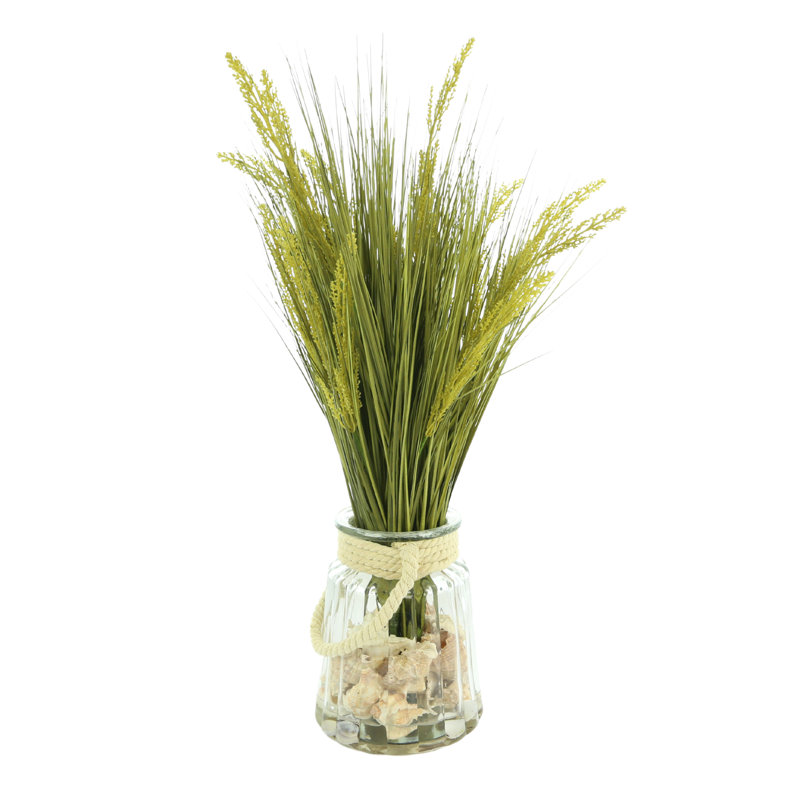 Herbe en pot 15 po Athallia