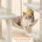 Dainel Multi-Level Cat Tree-88079763