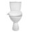 Swash Select DR801 Sidearm Bidet Seat with Warm Air Dryer and Deodorizer, Elongated White