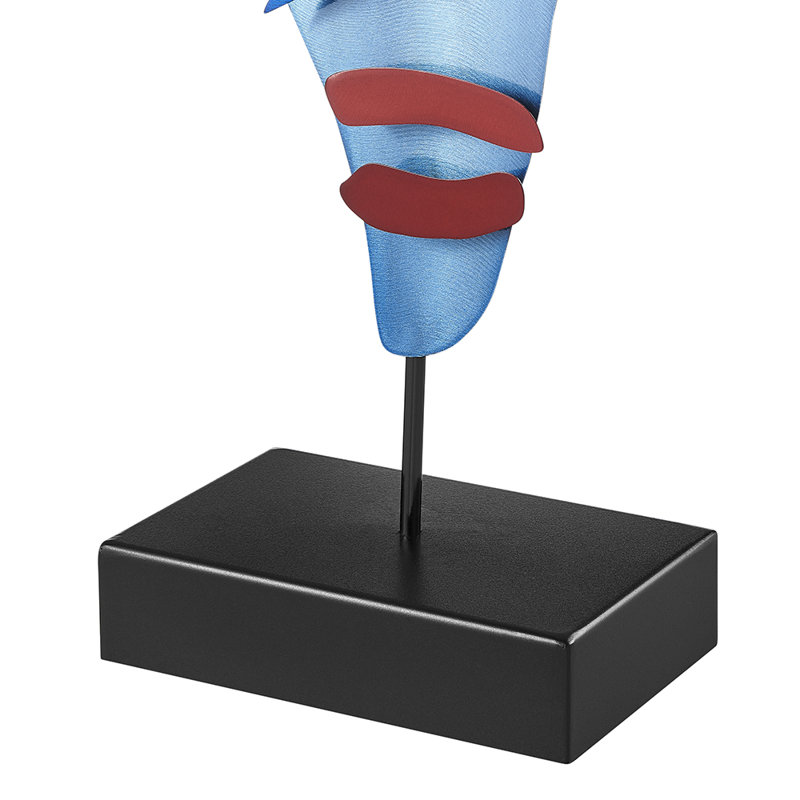Sculpture colorée en métal Desings 1