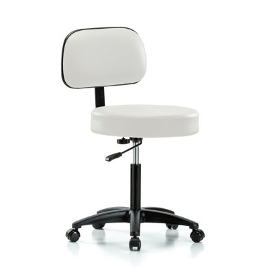 Lippencott Backed Adjustable Backrest Adjustable Height Ergonomic Lab Stool with Removable Casters/Wheels