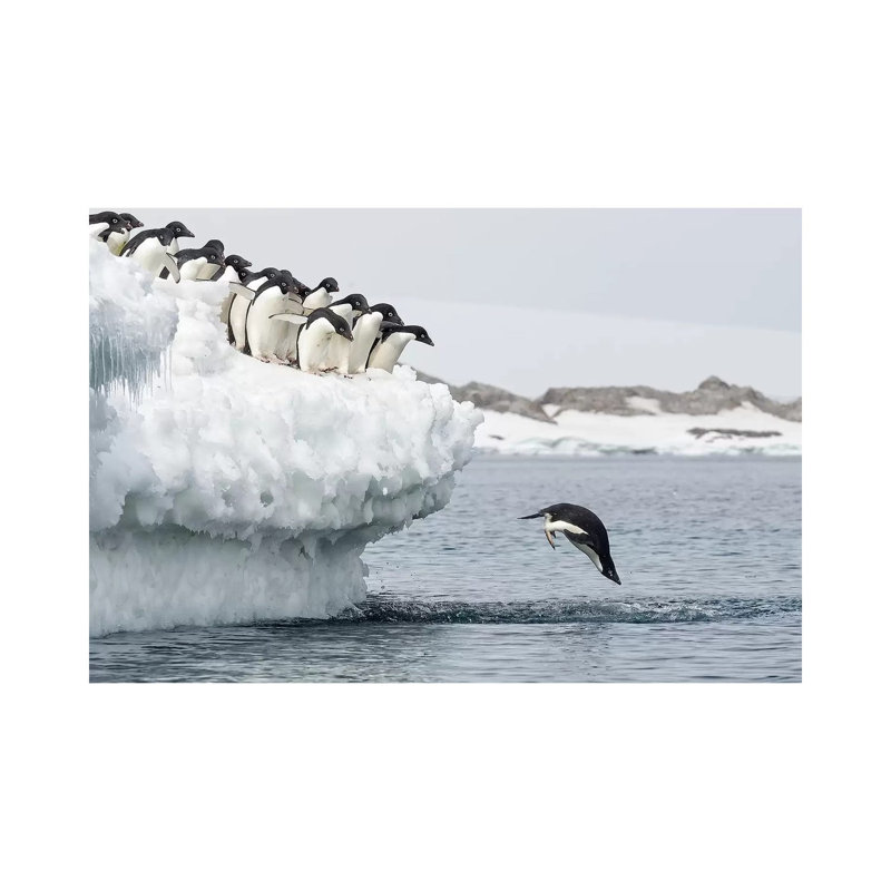 Splash by Joan Gil Raga - Wrapped Canvas Gallery-Wrapped Canvas Giclée, 66.04 cm H x 45.72 cm W x 1.91 cm D