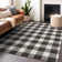 Colzie Flatweave Gingham Indoor / Outdoor Rug
