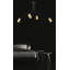Ciccone Spotlight-1612555249