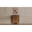 Blush Painting by Moe's Home Collection