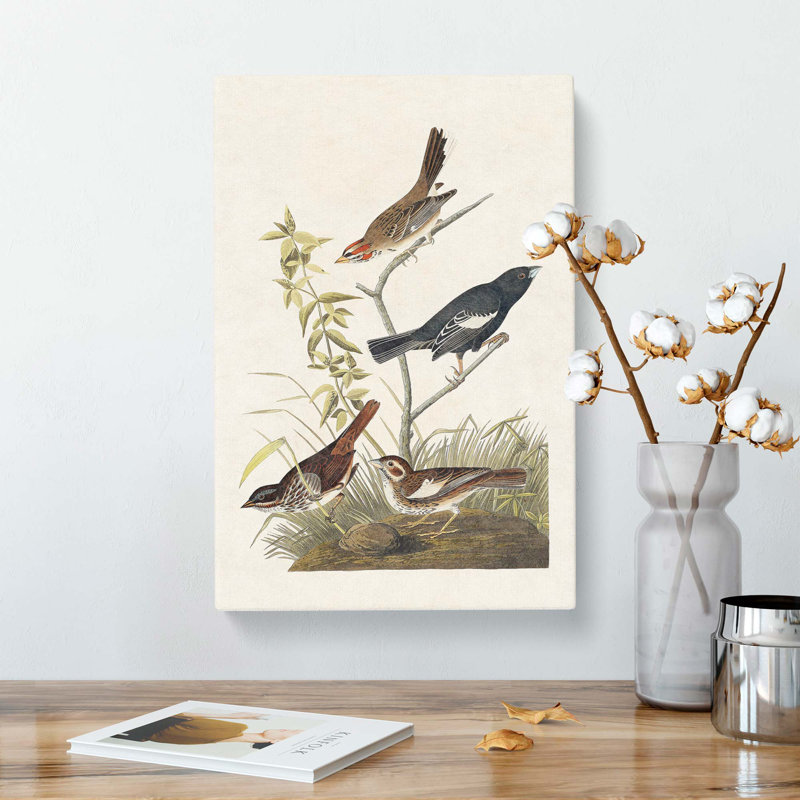 Finches & Sparrows - Wrapped Canvas Painting, 60cm H x 40cm W x 3cm D
