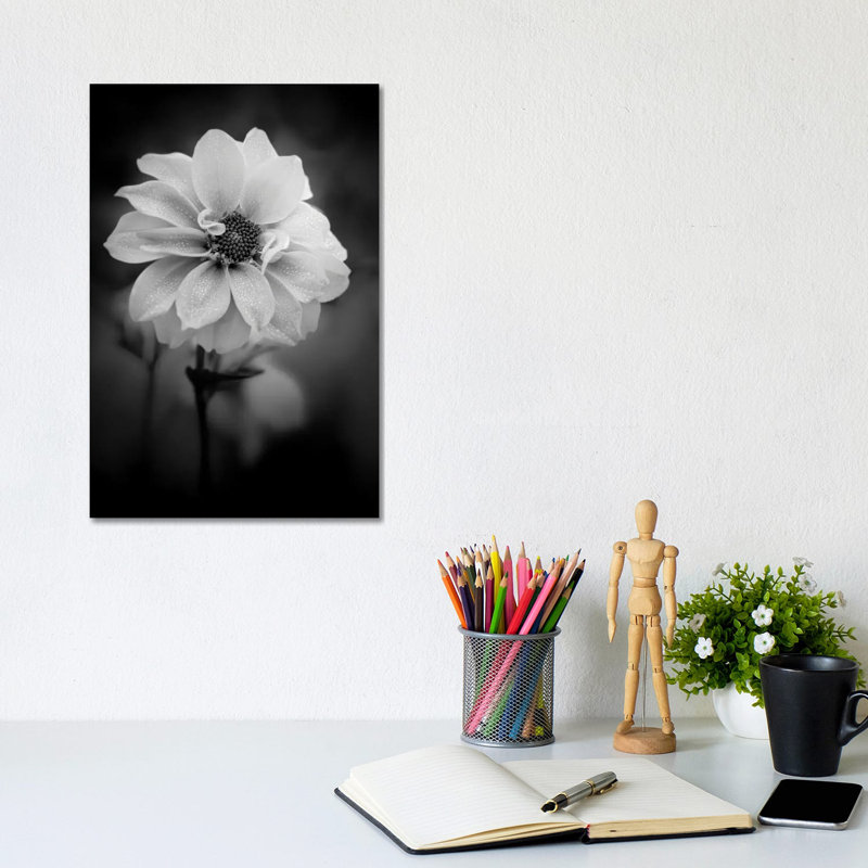 Dew White Flower by Nik Rave - Wrapped Canvas Print, 20.32 cm H x 30.48 cm W