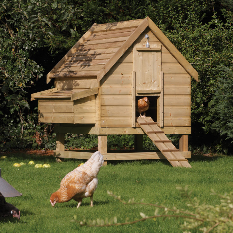 Rowlinson Chicken Coop