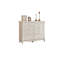 Armoire d'appoint de rangement pour salon