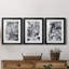 «Black and White Mix I», ensemble de 3 cadres photo-1033157669-1033157670