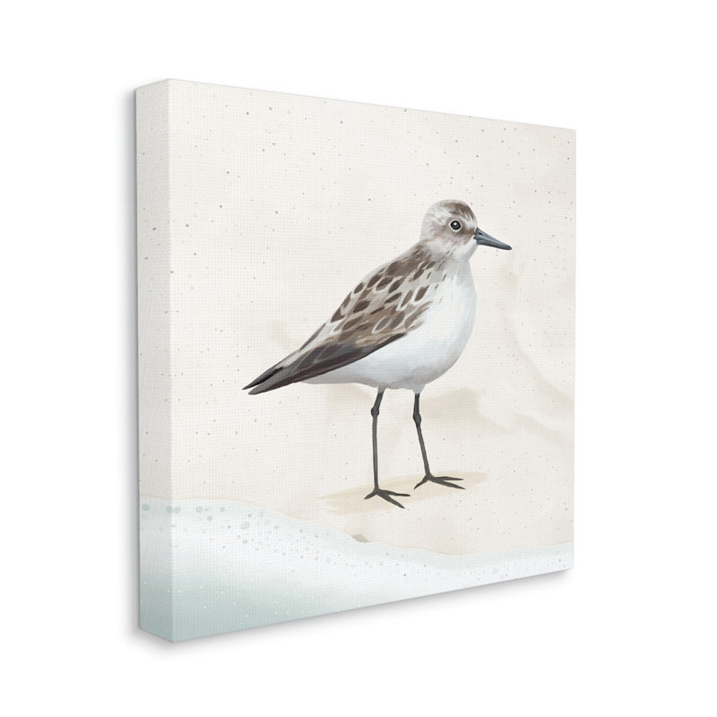 «Sandpiper Bird at Water's Edge Beach Shoreline» par Lucca Sheppard - impression sur toile tendue