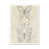 White Framed Paper Print is unavailable