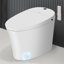 Smart Bidet Toilet, Dual-Flush Elongated Toilet Bidet,Warm Water Clear,Auto Flush,Tankless One-Piece Bidet Toilets for Bathrooms