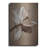 " Moonlight Tulip " by Rebecca Swanson-450514701