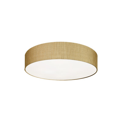 Ryan Flush Mount
