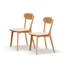 Chaise en chêne massif - Siège de salle à manger en bois de qualité «Safe & For» Delight, angle confortable, 18,41 po x 19,9 po x 31,54 po, finition facile à nettoyer