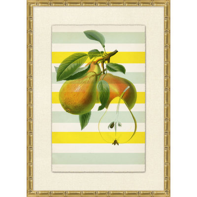 Striped Pear 1 Print by Lillian August