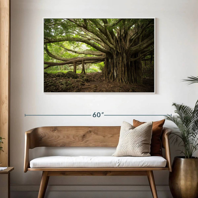 Banyan Tree, 46 po x 31 po, Cadre flottant blanc