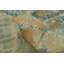 Tapis turc Oushak 8 x 10