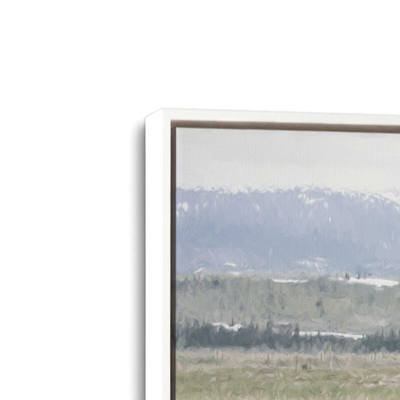 «Mountain Mule» par Lori Deiter, reproduction d'art, Framed Canvas, 30 W x 20 H, Blanc