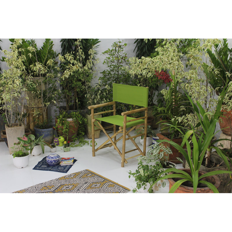 Laseter Folding Director Chair, Green