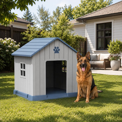 Dog House